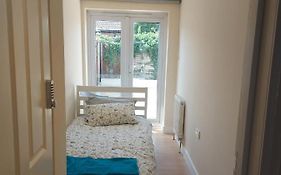 Vibrant Single Room Only For One Adult